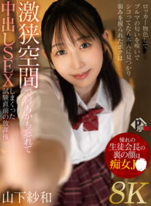 【VR】憧れの生徒会長の裏の顔は痴女JK ロッカー物色してブルマの匂いを嗅いでシコってたら本人に見つかり弱みを握られたボクは激狭空間で何もかも忘れて中出しSEXしまくった試験直前の放課後 山下紗和【8K】 (pxvr00412)｜女優AV