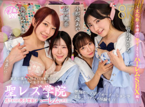 【VR】聖レズ学院 貧乏の僕がテスト生として転校した先はまさかの女子校！？花ざかりの男子禁制ハーレムLIFE～文化祭の準備中にヤリまくりハーレムSEX編～ 沙月恵奈 弥生みづき 小那海あや 皆月ひかる (savr00933)｜女優AV